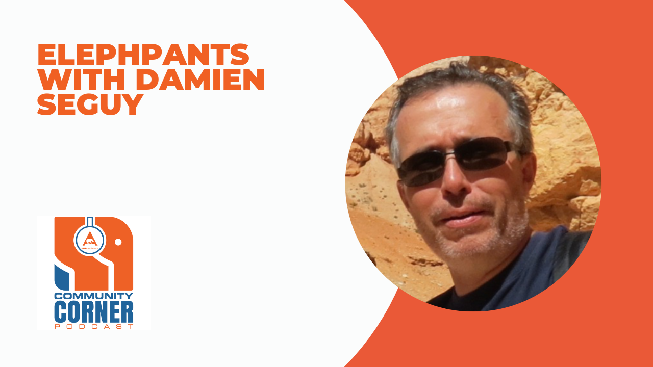 elePHPants with Damien Seguy